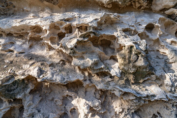 Salt weathering / Alcove (landform) Older dune deposits / Pleistocene to Holocene / Sand dunes / Well-sorted calcareous sand, Diamond Head Rd, Honolulu Oahu Hawaii geogoly.  