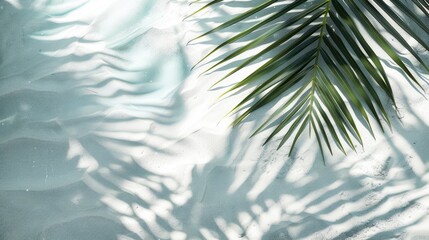 Fototapeta na wymiar palm leaf shadow on abstract white sand beach background, sun lights on water surface, beautiful abstract background concept banner for summer vacation at the beach - generative ai