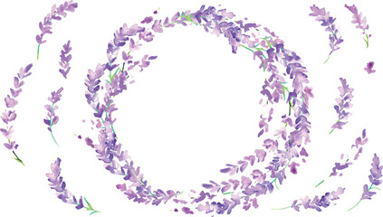 水彩画。水彩タッチのラベンダーイラスト。ラベンダーのベクターイラスト。夏のラベンダー背景。Watercolor painting. Lavender illustration with watercolor touch. Lavender vector illustration. Lavender background in summer.