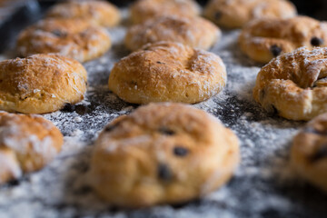 Homemade cookies with chocolate chips close-up. Culinary concept.