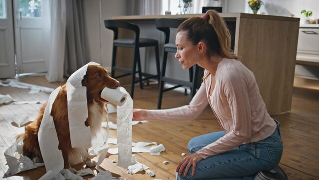 Woman disappointed dog misbehave in living room close up. Girl looking on pet