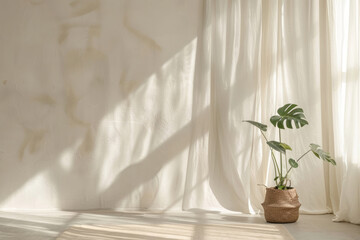 A white curtain is placed on the right side with a monstera plant beside it, against a white background, creating a minimalist, aesthetically pleasing interior design with neutral tones.