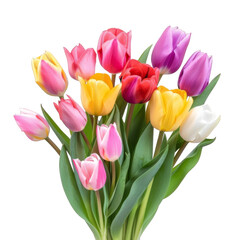 Fototapeta premium Beautiful tulip Flower bouquet isolated on white background
