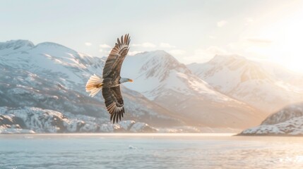 Naklejka premium Majestic Bald Eagle over Snowy Alaskan Coastline Celebrating National Wildlife Day, Highlighting Conservation Efforts