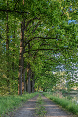 Wasserlandschaften im Waldviertel