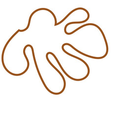 Brown Abstract Shape Outline Vectors 