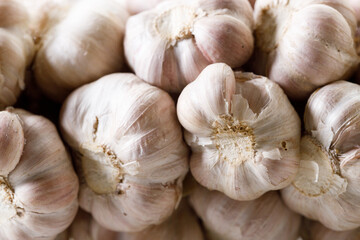 Ripe organic garlic clove and bulb on white wooden background.  Close-up. Selective focus.