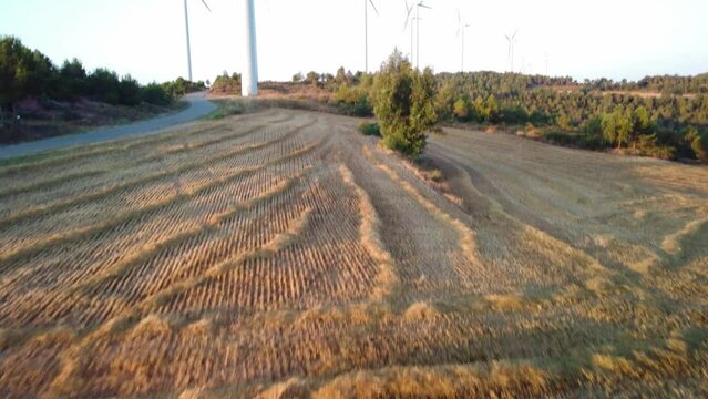Golden fields and distant windmills in Igualada, Barcelona during sunset