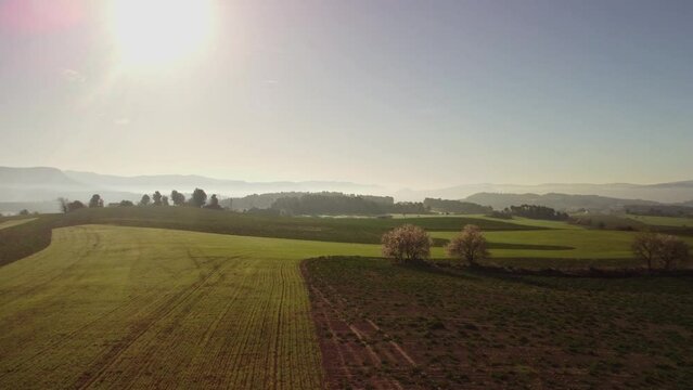 Scenic aerial view of windmills on green fields in Igualada, Barcelona at sunrise