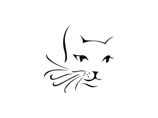 cat drawing outline. kitten doodles in abstract hand drawn style, black and white line art vector illustration. Isolated On White Background. © tharaka