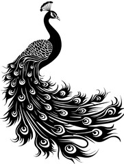 Fototapeta premium Elegant Peacock Vector Illustration, Stylized black and white vector illustration of an elegant peacock with detailed plumage in a graceful pose.