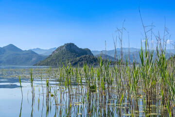 Montenegro - Transparent Clear water that has preserved the virgin primeval nature of Lake Virpazar!