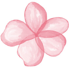 pink flower petals isolated on white