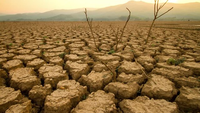 Heatwave impact causes long-term drought and lack of rainfall.