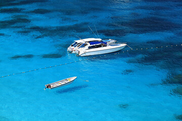 Fototapeta premium The natural beauty clear water and white sandy beach of Similan Islands in Similan National Park. Phang Nga Province, Thailand 