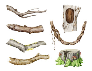 Wooden natural elements painted set. Watercolor illustration. Hand drawn branch, twig, hollow timber, vine, stump natural element collection. Tree parts on white background © anitapol
