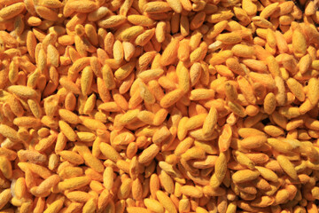 Golden yellow cocoon background. There are many in Thailand. It is a hybrid strain J108 