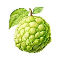 Fototapeta premium Luscious Custard Apple - Vibrant Watercolor of Exotic Tropical Fruit