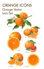 Orange logo vector icon set 