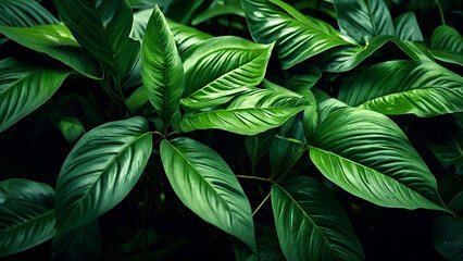 Natural lush of green leaves, plants, spring or summer background, wallpaper. Greenery environment ecology backdrop. Copy space. Generative AI.
