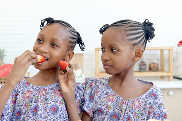 African twin girl sister with curly hair braid African hairstyle eating fresh strawberry at home...