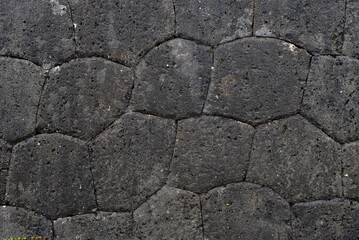 湿り気のある琉球石灰岩の壁