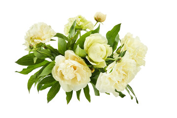 Fresh Peony Bouquet Isolated on White
