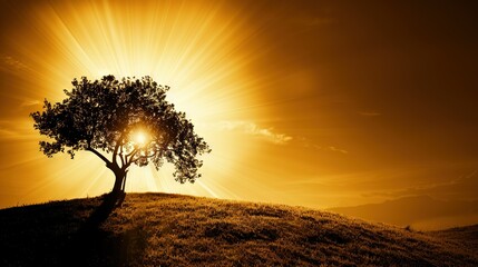   A solitary tree atop a hill with the sun filtering through the cloudy sky and casting its rays onto the distant horizon