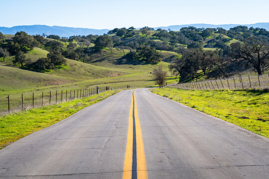Rolling Hills of Los Olivos