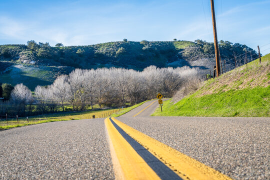 Rolling Hills of Los Olivos