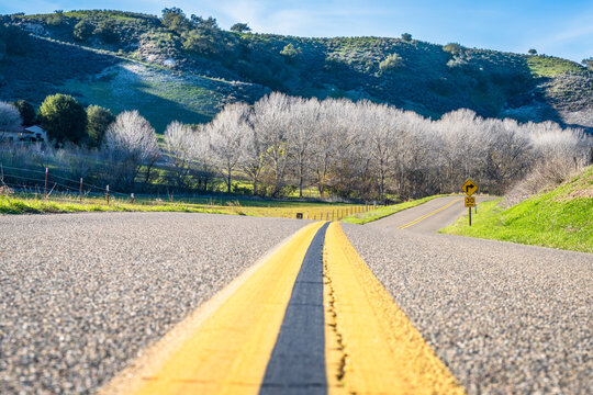 Rolling Hills of Los Olivos