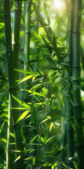 A detailed view of bamboo leaves, with sunlight shining through them, creating a beautiful pattern of light and shadows