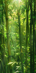 The suns rays filter through dense bamboo trees, creating a pattern of light and shadow on the forest floor