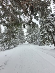 Snow in the mountains