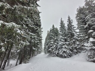 Snow in the mountains