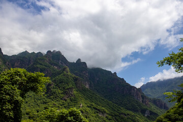 Spectacular mountain landscape with trees and pines with clouds in the sky. beautiful summer landscape in the field