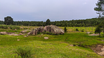 Incredible rock on the meadow with pine trees and clouds, Landscape in a green field