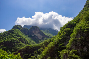 Summer landscape of mountains with green trees with clouds covering the tip of the mountain