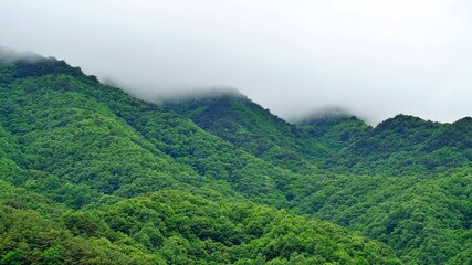 Obraz premium Beautiful summer scenery of Gajisan Mountain in Korea