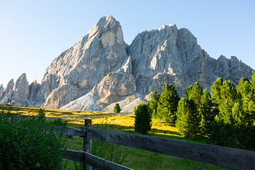 Dolomite panorama with summer vibes of grown forest and mountain Peitlerkofel