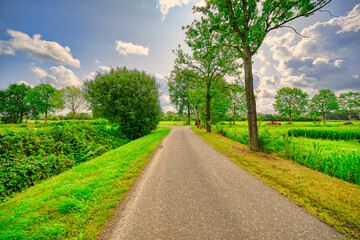 A country road in a pastoral lanscape in The Netherlands.