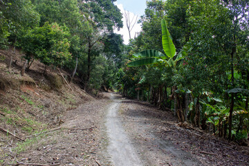 the farm road on village in sumatera, indonesia, sandy or rocky road