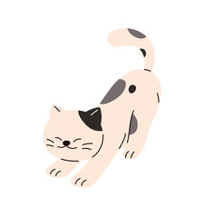 Cute cat stretching, pandiculating. Playful kitten. Flat cartoon style vector illustration isolated on white background