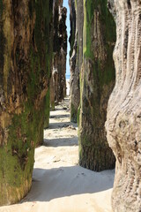 Pieux de la plage du Sillon à Saint-Malo