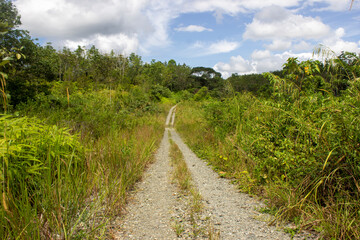 the farm road on village in sumatera, indonesia, sandy or rocky road