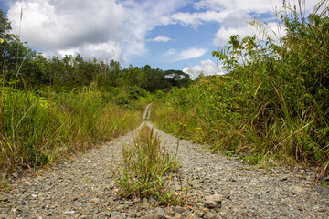 the farm road on village in sumatera, indonesia, sandy or rocky road