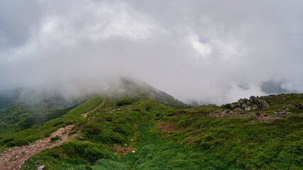 Fototapeta premium Panorama of a mountain landscape on a cloudy day. Pink rhododendron flowers among the green slopes of the mountains. A low cloud covered the summit. The beauty of the summer Carpathians
