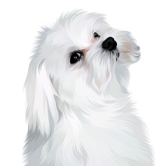 Colorful detailed dog Illustration