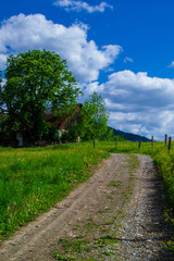 Dirt road among alpine meadows leading to the farm