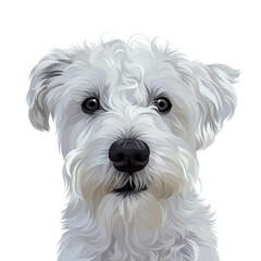 Colorful detailed dog Illustration